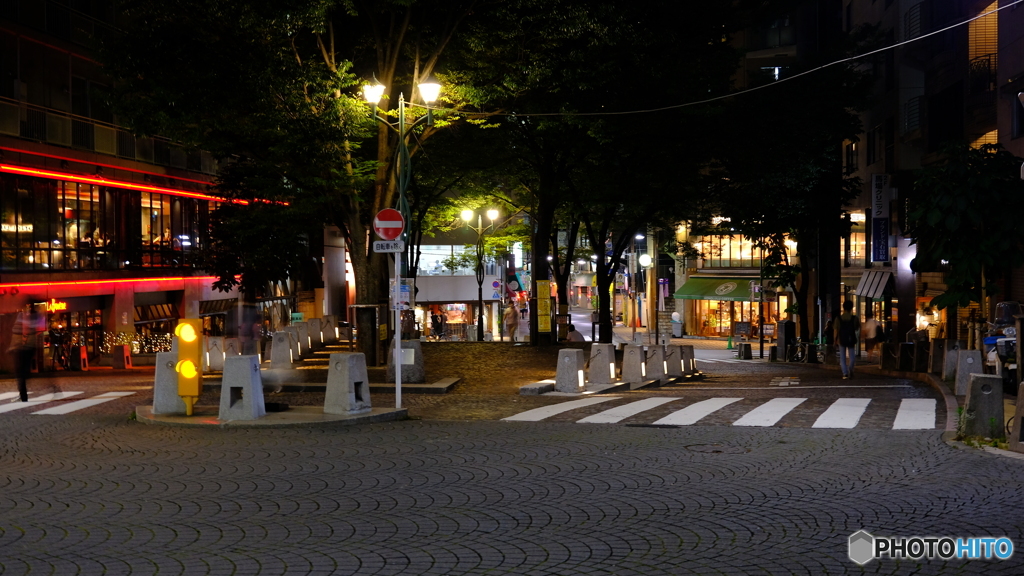 夜の街の明かりに魅かれて ２