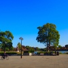 通勤途上の公園 爽やかな秋の朝