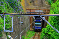 こちらのトンネルは江ノ電の極楽寺駅の近くです