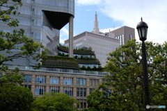 屋上階の緑の奥に東京宝塚のタワーが見えます
