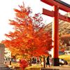 中禅寺湖 湖畔の紅葉 二荒山神社の大鳥居