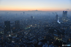 東京の夜景 富士山が見えます