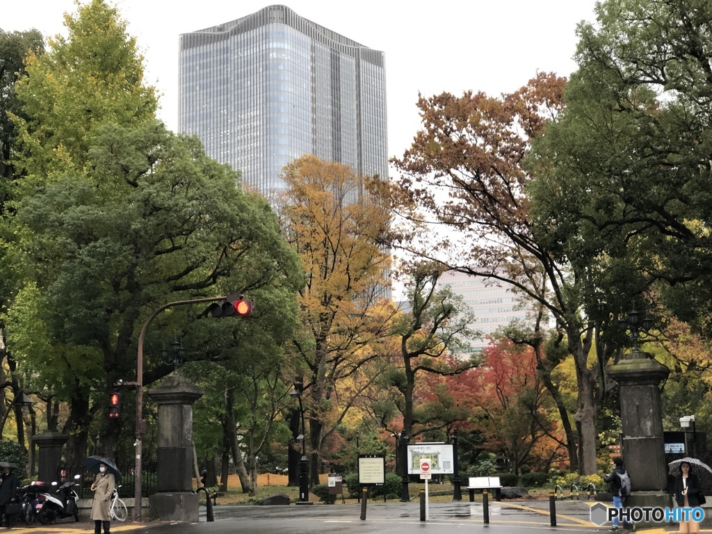 日比谷公園　雨降りの紅葉　1