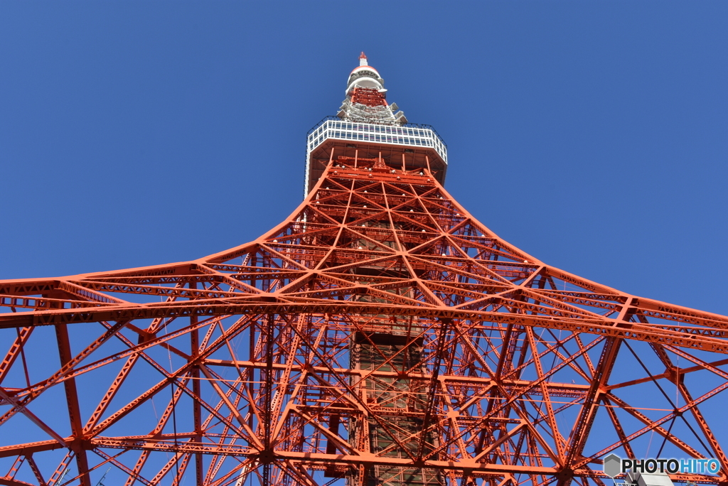 東京タワートップデッキツアー・東京タワー