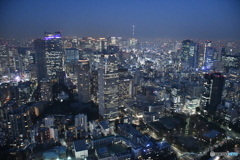 東京の夜景 銀座浅草方面・スカイツリーが見えます