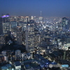 東京の夜景 銀座浅草方面・スカイツリーが見えます