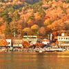 中禅寺湖 湖畔の紅葉 １
