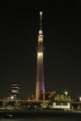 夜のスカイツリー