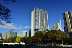 日比谷公園の紅葉を見に行きました。