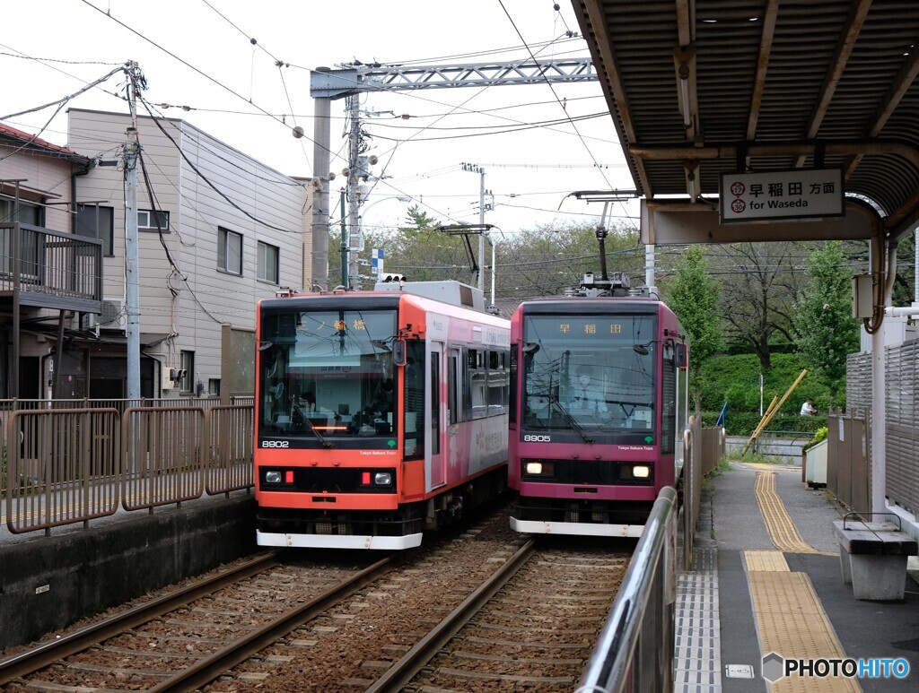 都電荒川線 電車のすれ違い