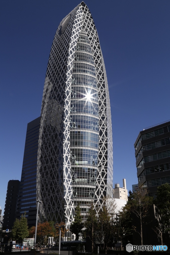 東京モード学院コクーンタワーに映える朝日