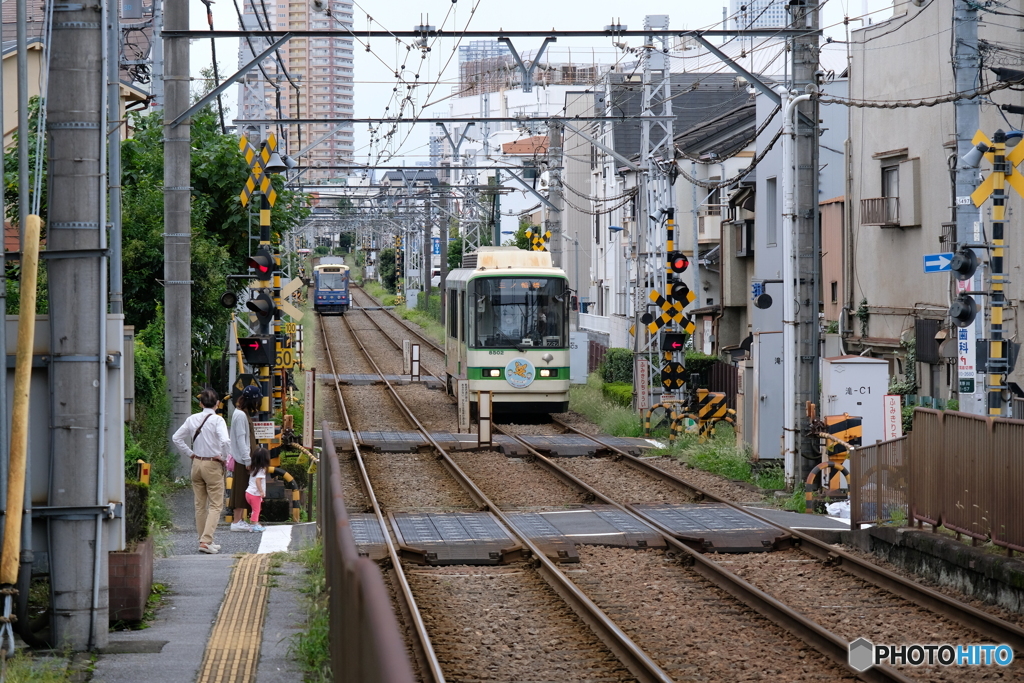 都電荒川線 都民の生活電車です