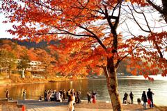 中禅寺湖 湖畔の紅葉 賑やかです