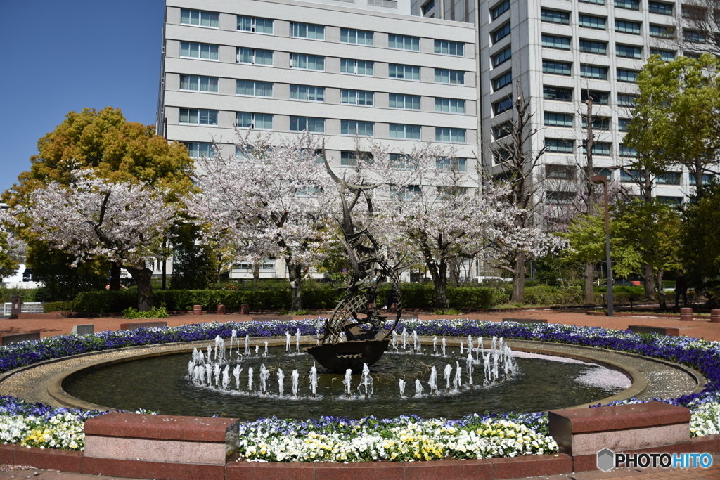 ようやく澄み光り輝く天気となり＠日比谷公園、でも強風で…　②