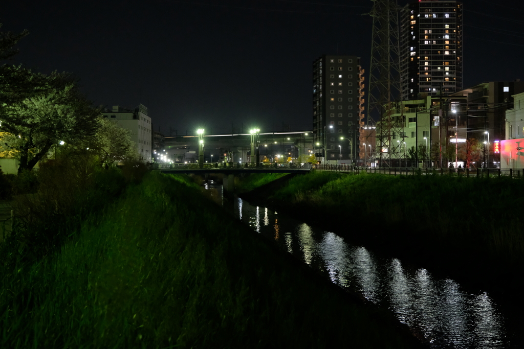 桜と新幹線２（ほぼ同じ場所での夜景）