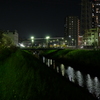 桜と新幹線２（ほぼ同じ場所での夜景）