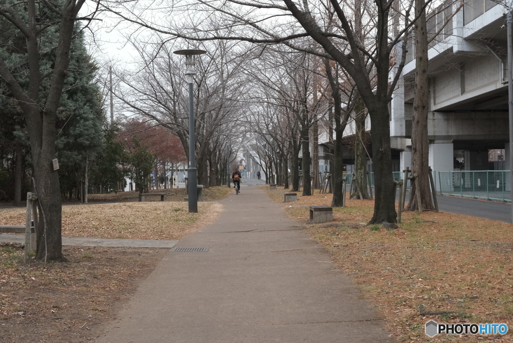 寒い冬の曇り空での街路