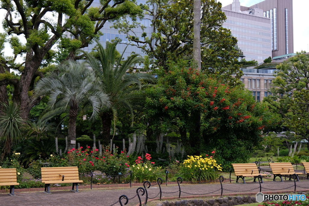 植物と高層ビル