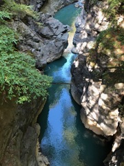 群馬県吾妻渓谷　鹿飛橋 （下流側）