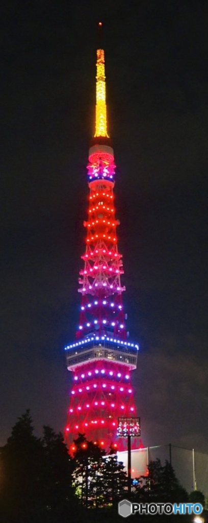 東京タワー インフィニティ・ダイヤモンドヴェール