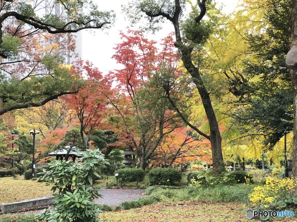 日比谷公園　雨降りの紅葉　2