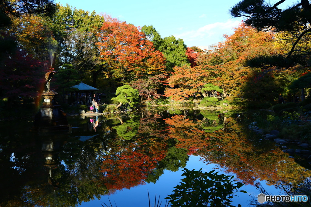 日比谷公園では風もなく池に紅葉が映し出されてました。噴水に虹が見れました。