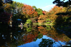 日比谷公園では風もなく池に紅葉が映し出されてました。噴水に虹が見れました。