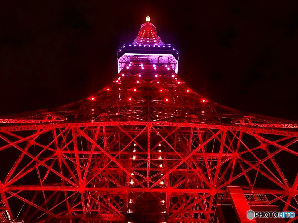 東京タワー インフィニティ・ダイヤモンドヴェール　見上げてみた