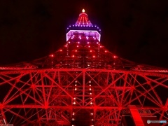 東京タワー インフィニティ・ダイヤモンドヴェール　見上げてみた