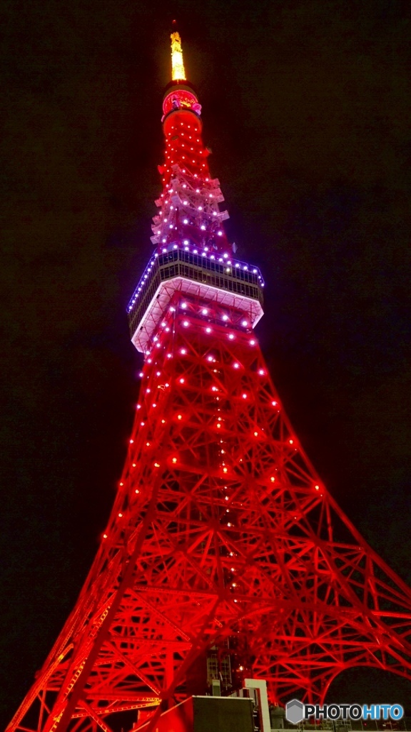 東京タワー インフィニティ・ダイヤモンドヴェール　全体を見たくて