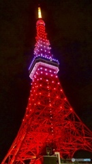 東京タワー インフィニティ・ダイヤモンドヴェール　全体を見たくて