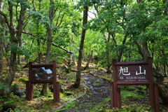 志賀高原旭山入口