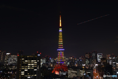 東京タワー・インフィニティダイヤモンドヴェール