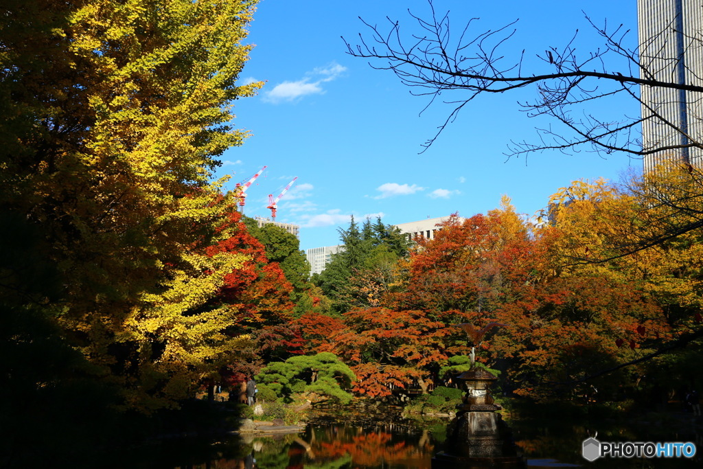 日比谷公園の紅葉です。