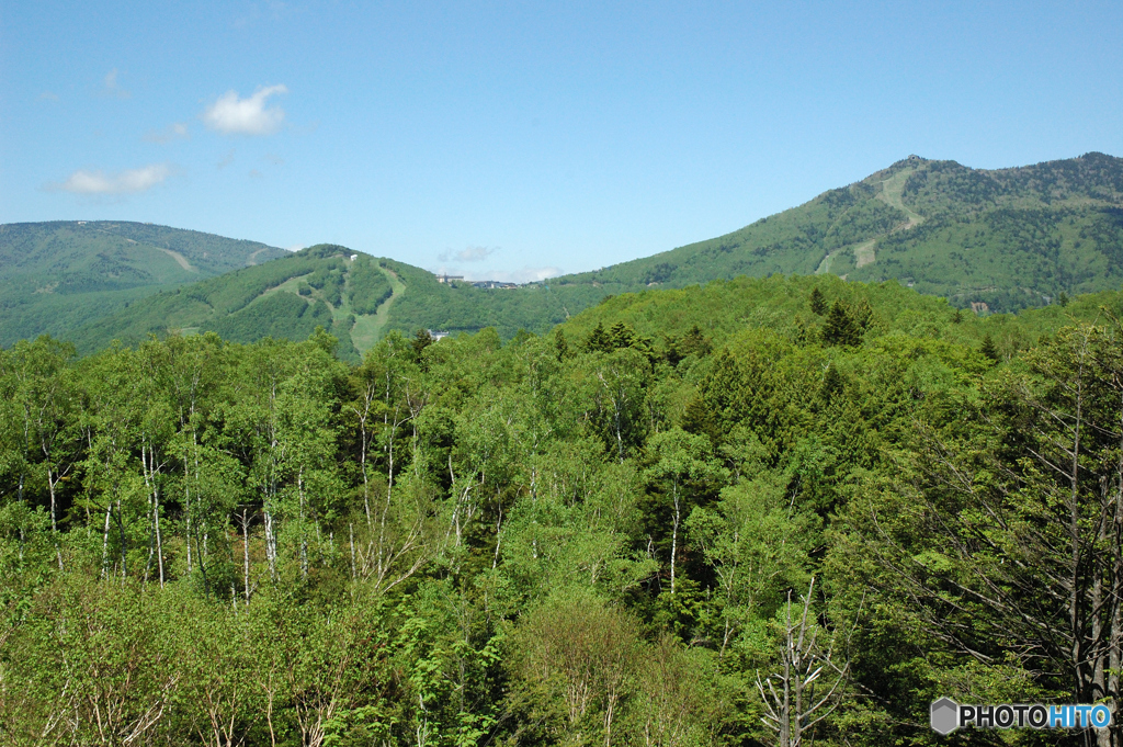 志賀高原 東舘山 西舘山 焼額山