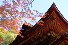 DSCF2460