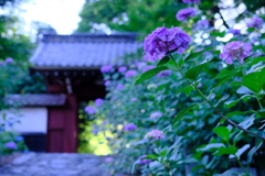 山門