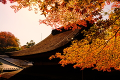 DSCF2423