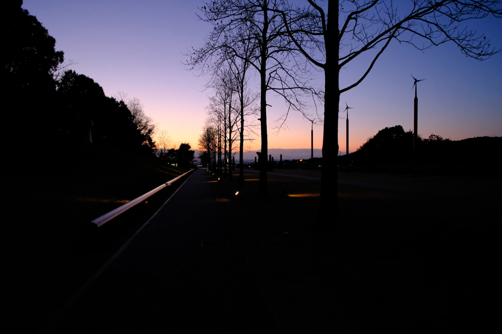 DSCF3187