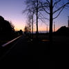 DSCF3187