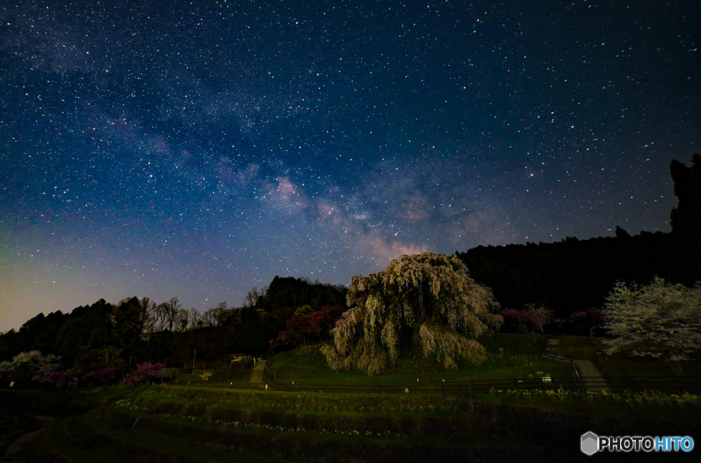 天の川と桜