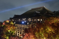 清水寺夜間特別拝観
