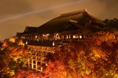 清水寺夜間特別拝観