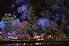 嵐山ライトの