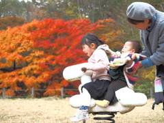 紅葉の公園で