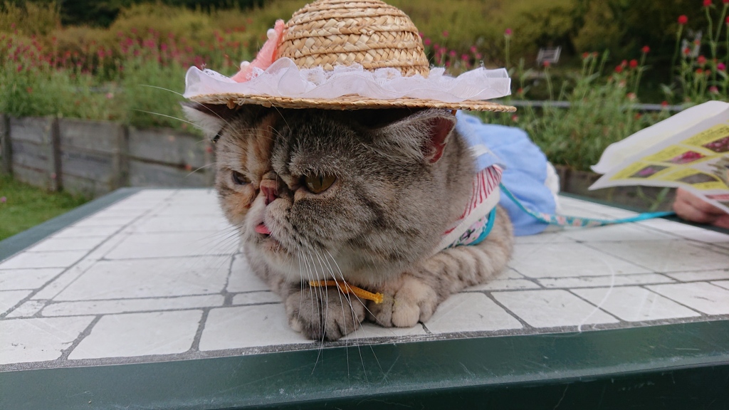 Sachi with　Straw hat