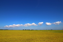 ぽこ雲。