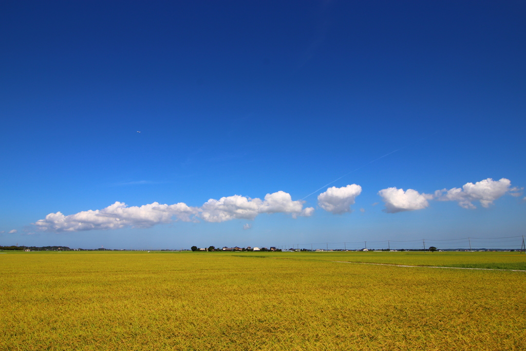 ぽこ雲……再び…。