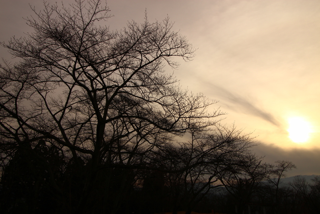 幸せ日の夕刻