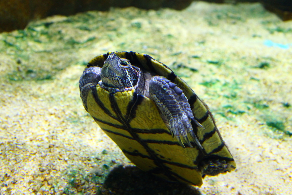 ﾁｮｯﾄ一息…笑♡